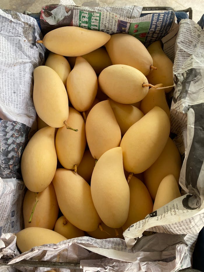 pexels photo 24514515.jpeg