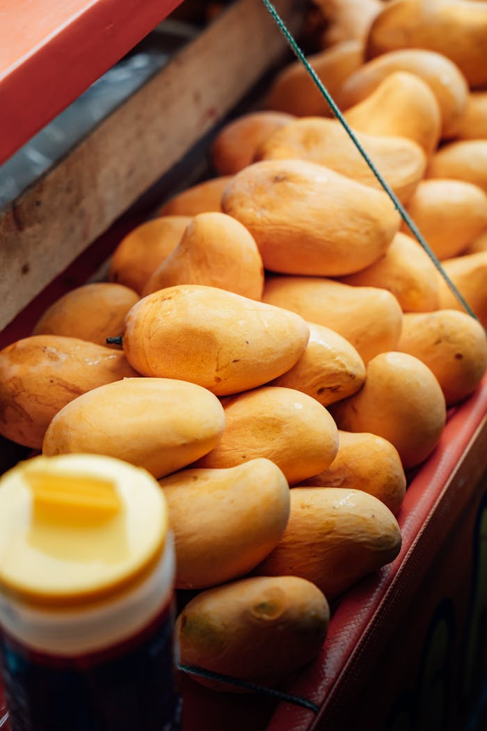 pexels photo 26842843.jpeg