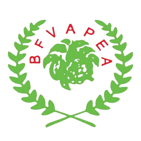 untitled design 3 removebg preview